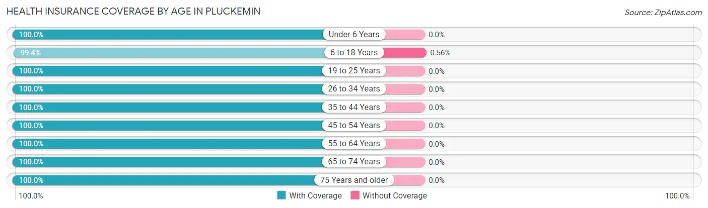 Health Insurance Coverage by Age in Pluckemin