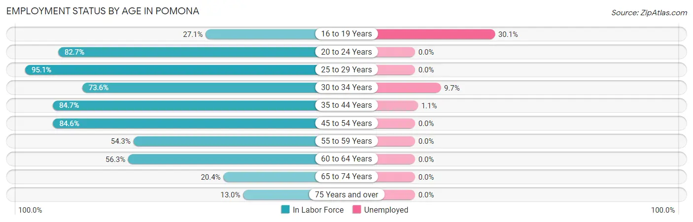 Employment Status by Age in Pomona