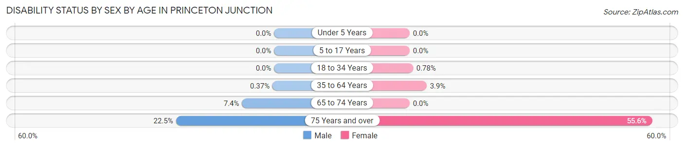 Disability Status by Sex by Age in Princeton Junction