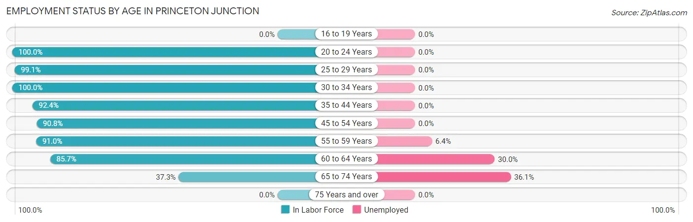 Employment Status by Age in Princeton Junction