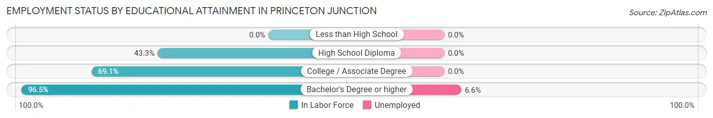 Employment Status by Educational Attainment in Princeton Junction