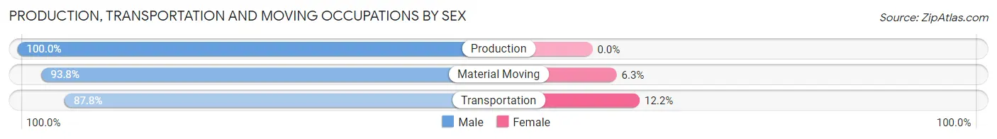 Production, Transportation and Moving Occupations by Sex in Riverton borough