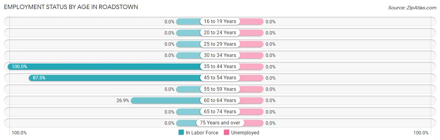 Employment Status by Age in Roadstown