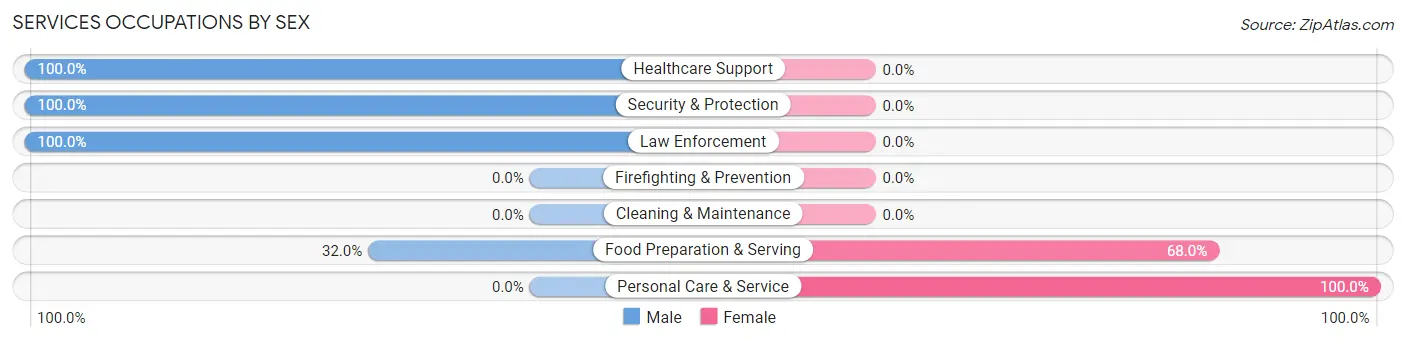 Services Occupations by Sex in Rocky Hill borough