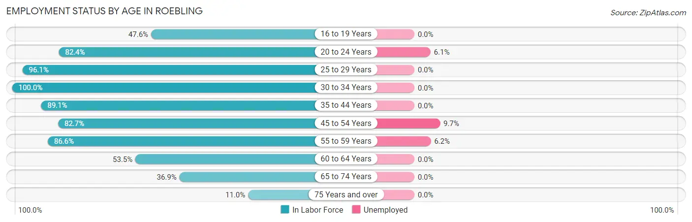 Employment Status by Age in Roebling