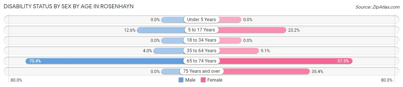 Disability Status by Sex by Age in Rosenhayn