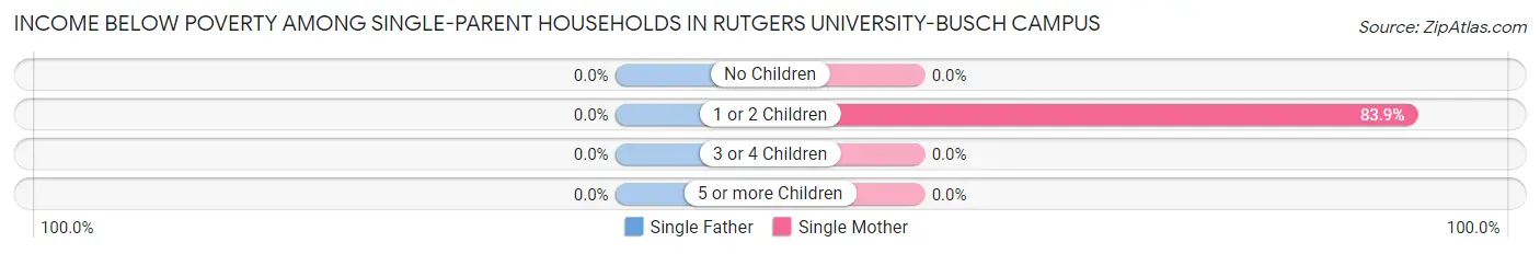 Income Below Poverty Among Single-Parent Households in Rutgers University-Busch Campus