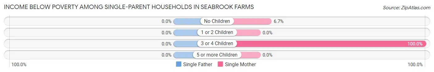 Income Below Poverty Among Single-Parent Households in Seabrook Farms