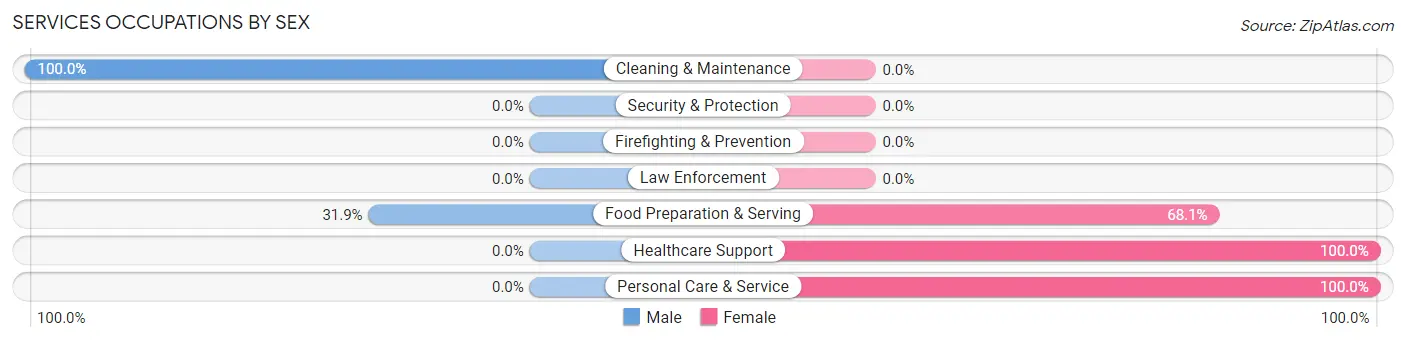 Services Occupations by Sex in Sewell