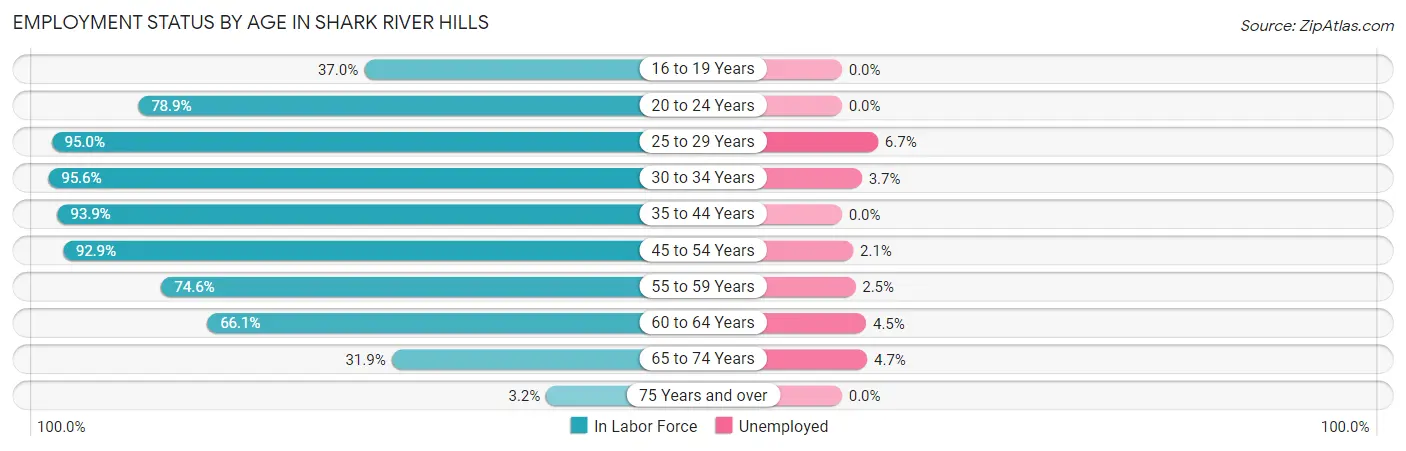Employment Status by Age in Shark River Hills