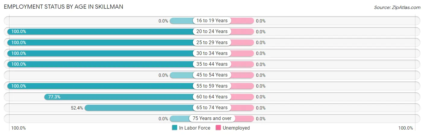 Employment Status by Age in Skillman