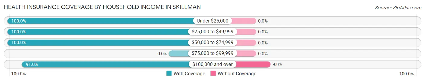 Health Insurance Coverage by Household Income in Skillman