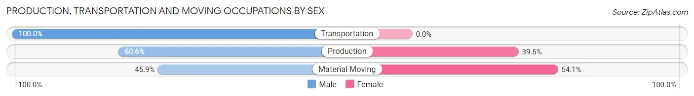Production, Transportation and Moving Occupations by Sex in Somerdale borough