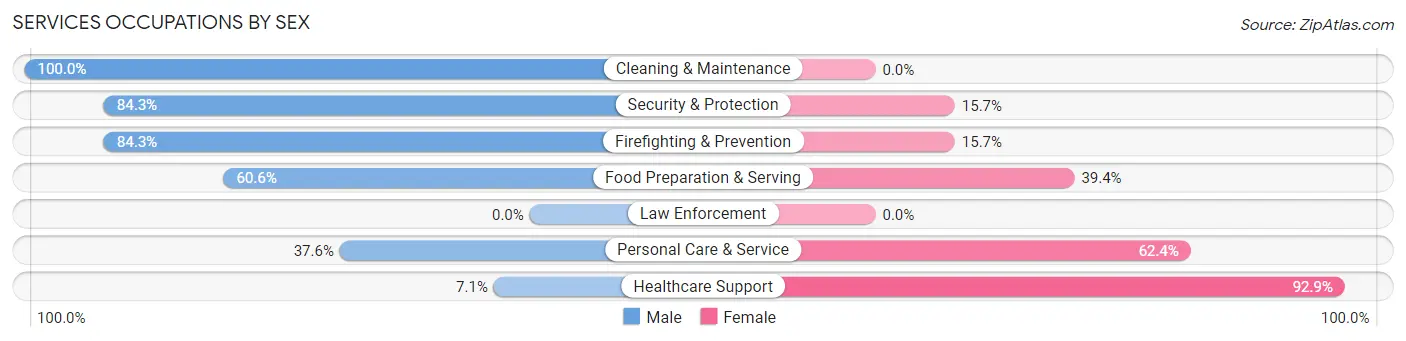 Services Occupations by Sex in Somerdale borough