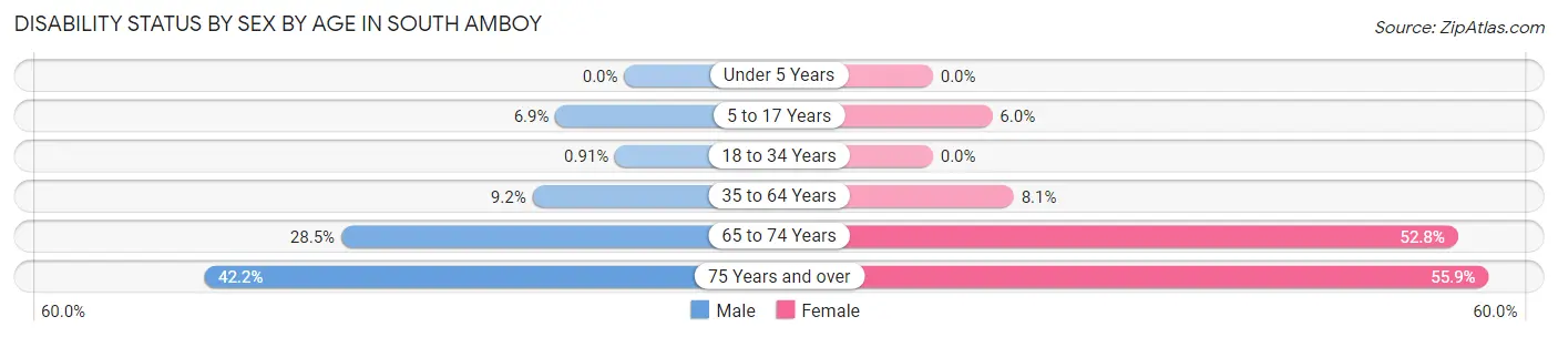 Disability Status by Sex by Age in South Amboy