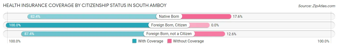Health Insurance Coverage by Citizenship Status in South Amboy