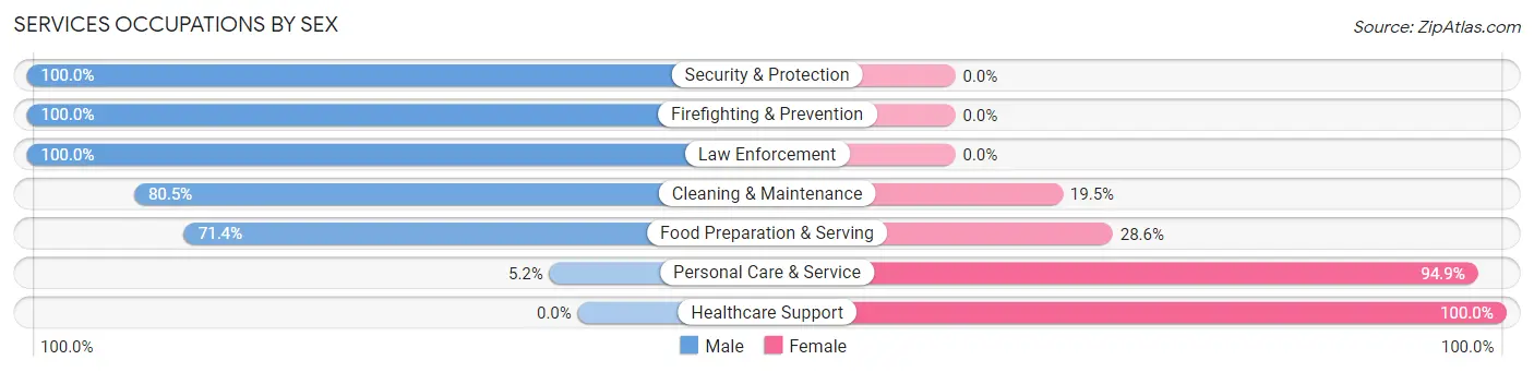Services Occupations by Sex in South Bound Brook borough
