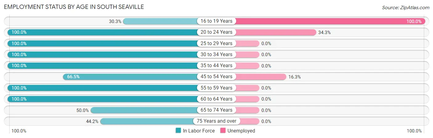 Employment Status by Age in South Seaville