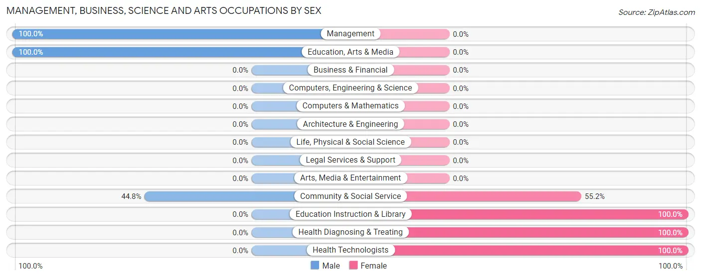 Management, Business, Science and Arts Occupations by Sex in South Seaville