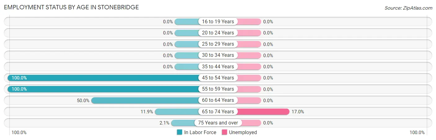 Employment Status by Age in Stonebridge
