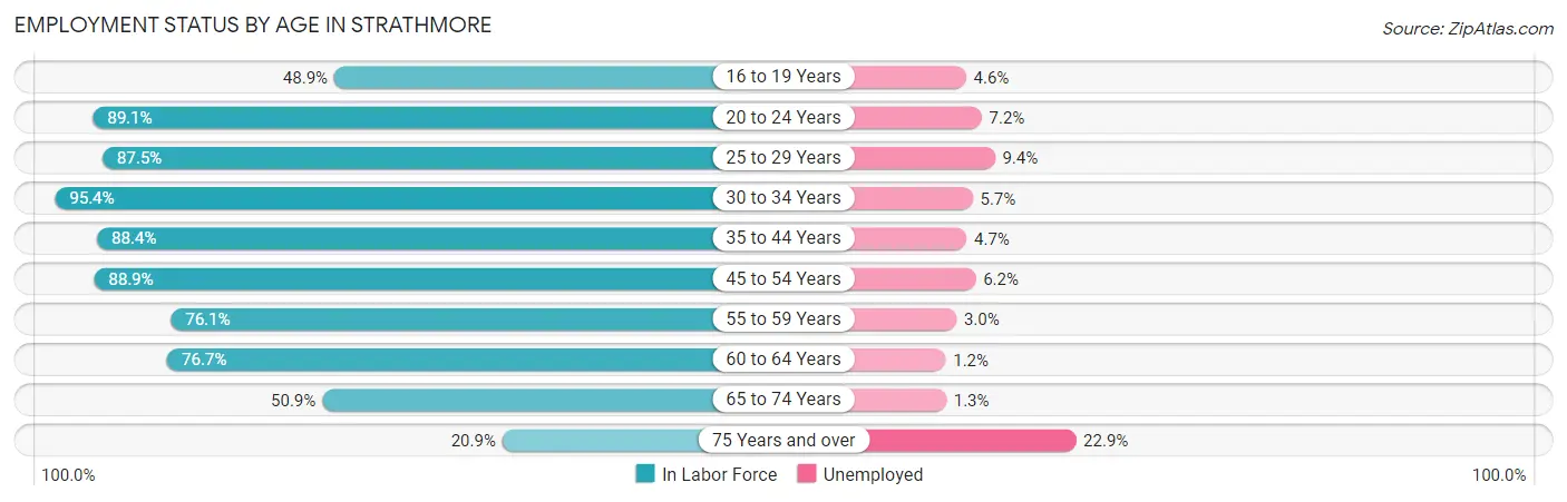 Employment Status by Age in Strathmore