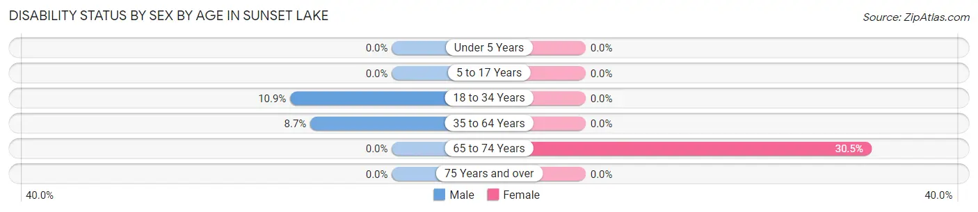 Disability Status by Sex by Age in Sunset Lake