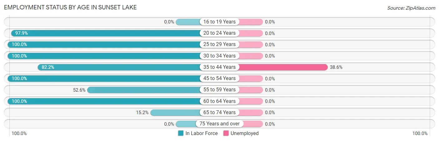 Employment Status by Age in Sunset Lake