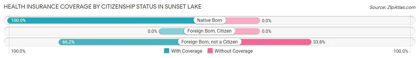 Health Insurance Coverage by Citizenship Status in Sunset Lake
