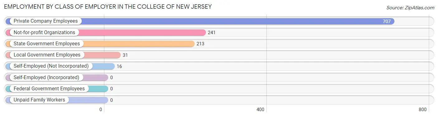 Employment by Class of Employer in The College of New Jersey