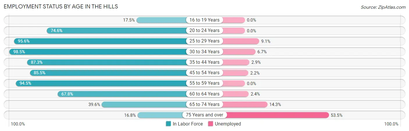 Employment Status by Age in The Hills