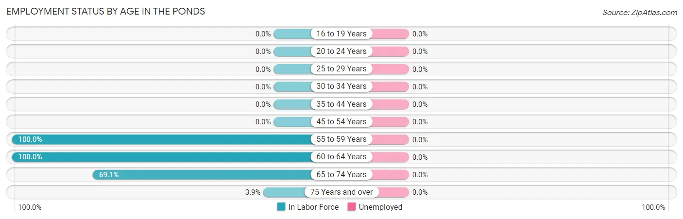 Employment Status by Age in The Ponds
