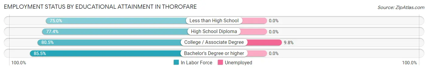 Employment Status by Educational Attainment in Thorofare
