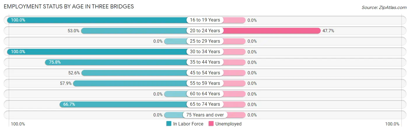 Employment Status by Age in Three Bridges