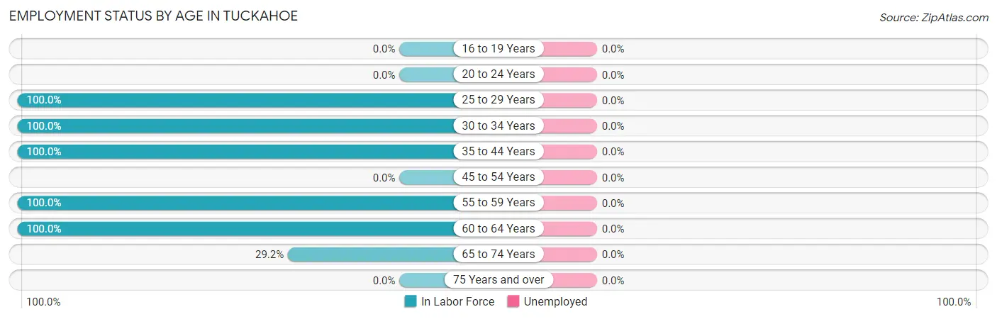 Employment Status by Age in Tuckahoe