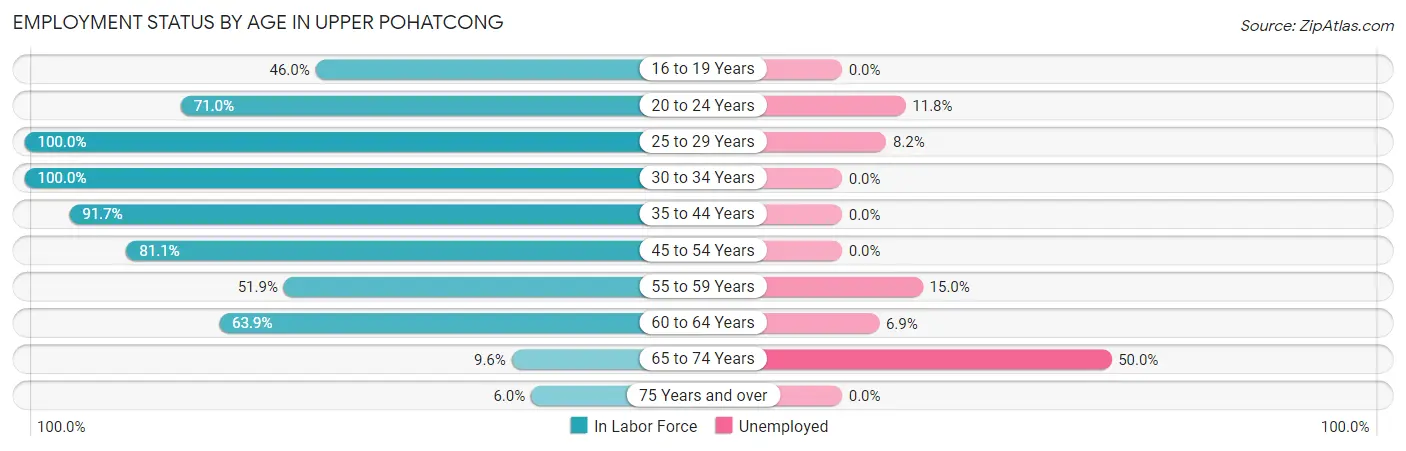 Employment Status by Age in Upper Pohatcong