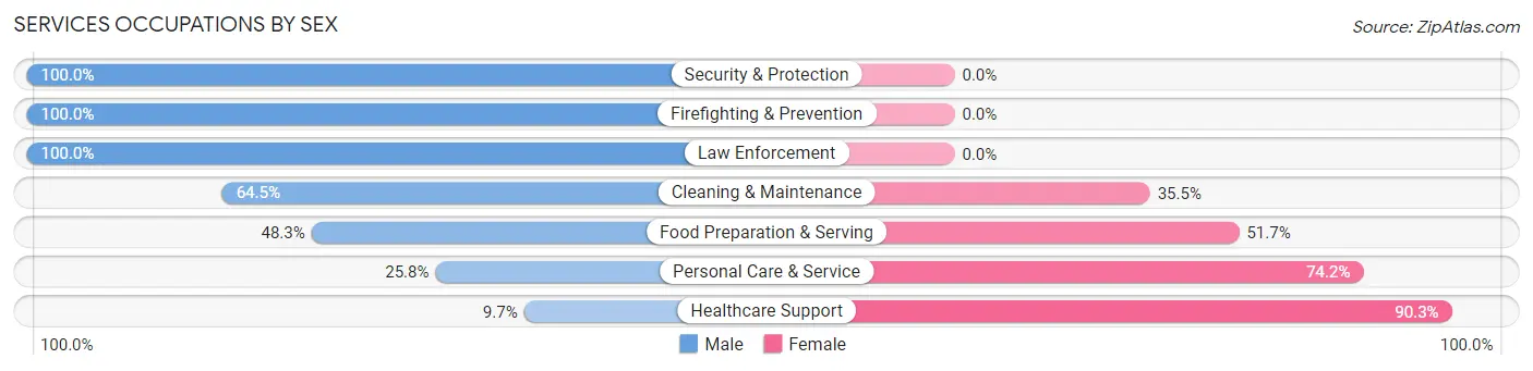 Services Occupations by Sex in Upper Pohatcong
