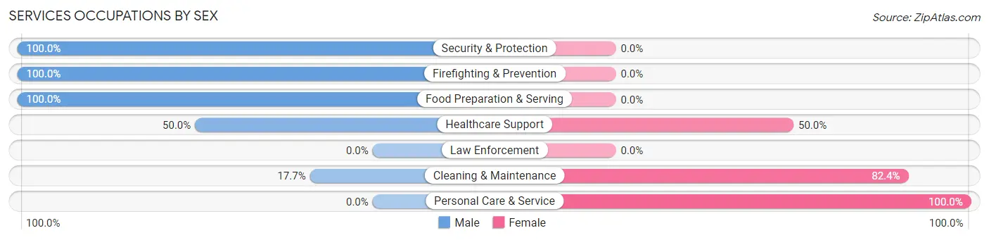 Services Occupations by Sex in Vernon Center