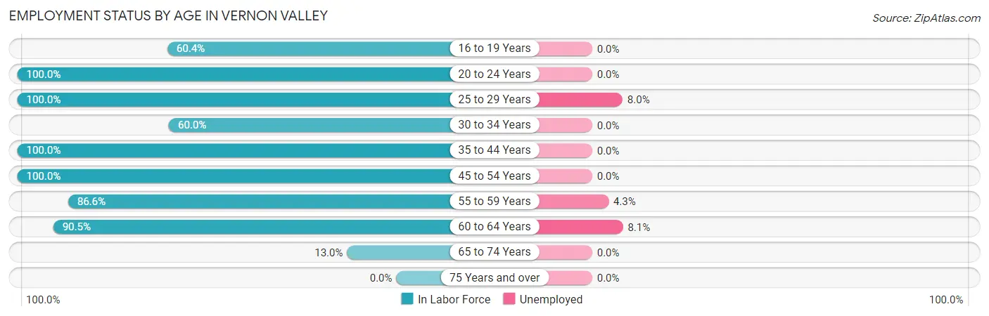 Employment Status by Age in Vernon Valley
