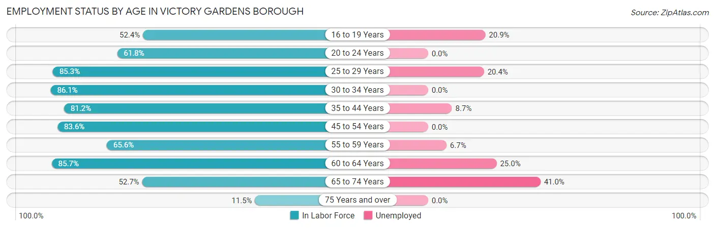 Employment Status by Age in Victory Gardens borough