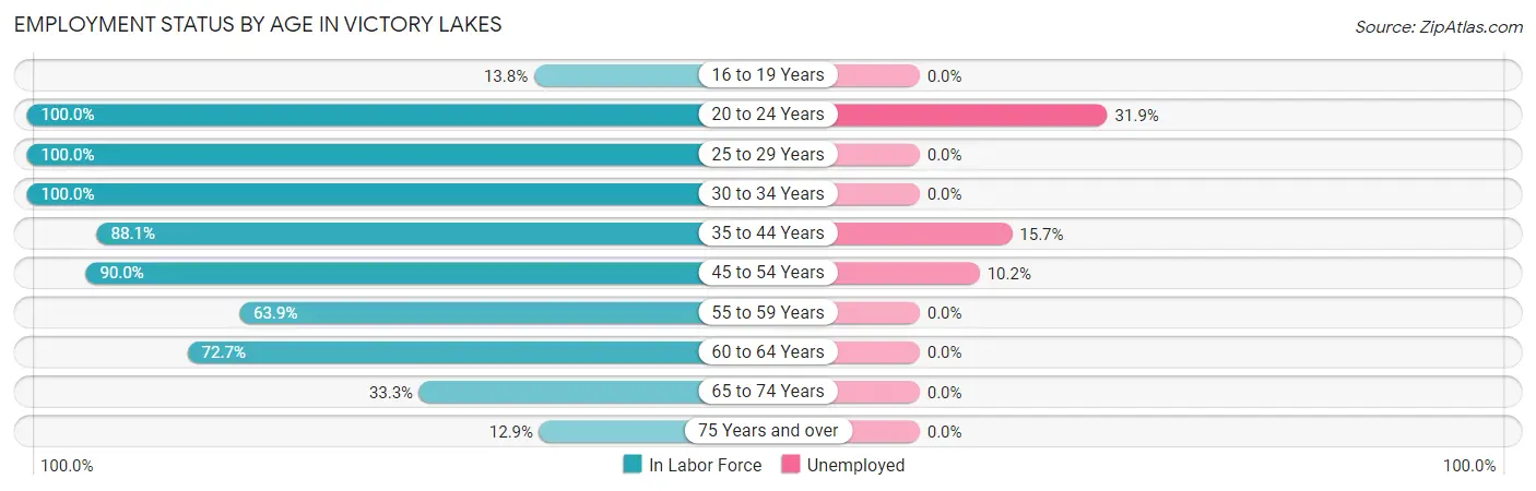 Employment Status by Age in Victory Lakes