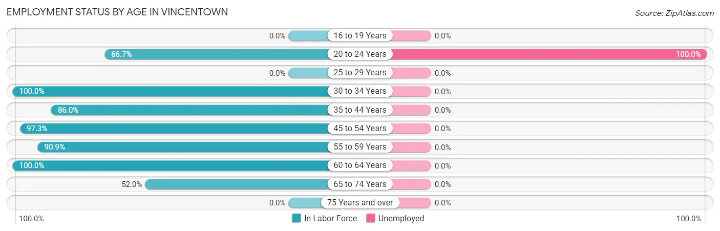 Employment Status by Age in Vincentown