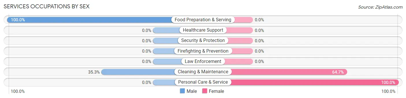 Services Occupations by Sex in Vincentown