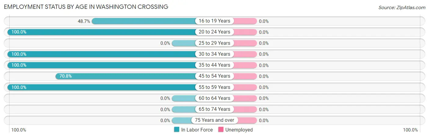 Employment Status by Age in Washington Crossing