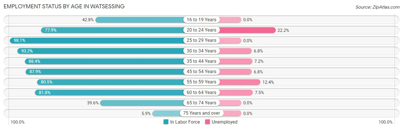 Employment Status by Age in Watsessing