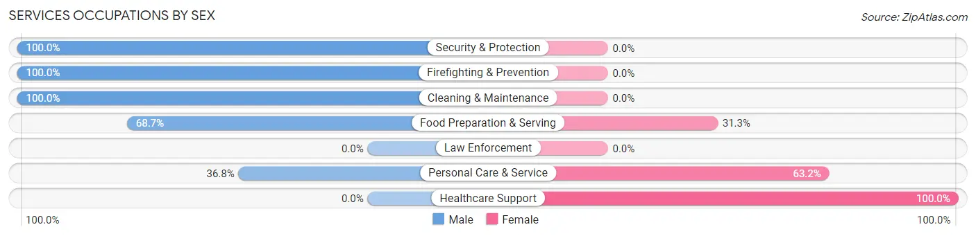 Services Occupations by Sex in West Cape May borough