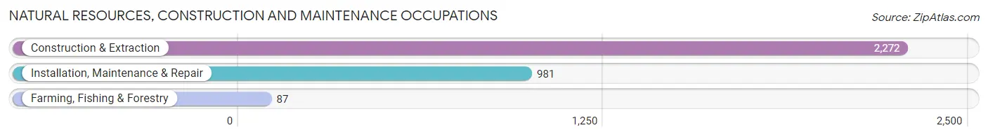 Natural Resources, Construction and Maintenance Occupations in West New York