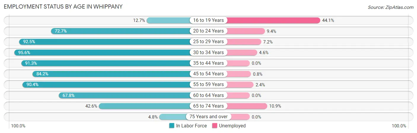 Employment Status by Age in Whippany