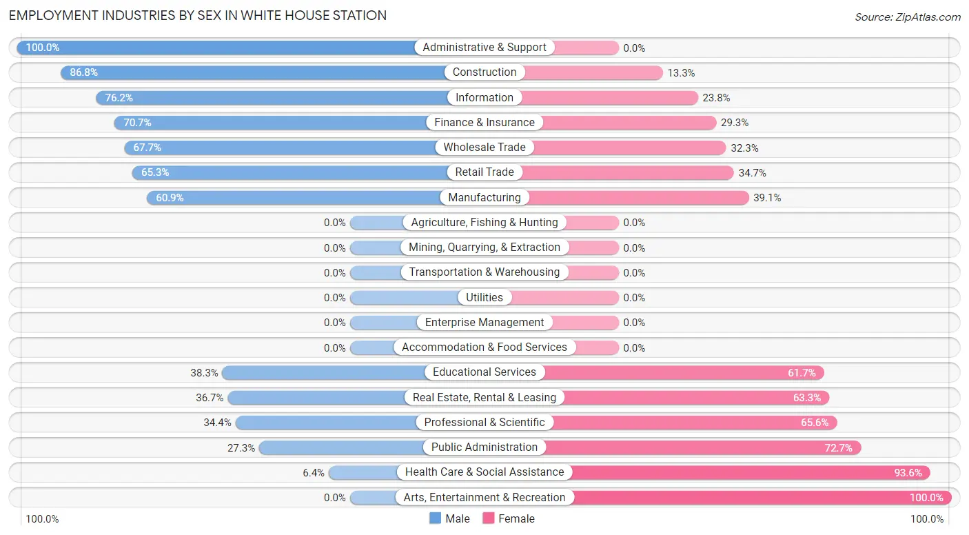 Employment Industries by Sex in White House Station