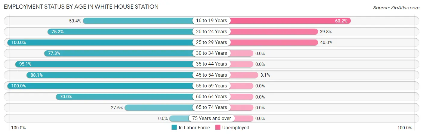 Employment Status by Age in White House Station