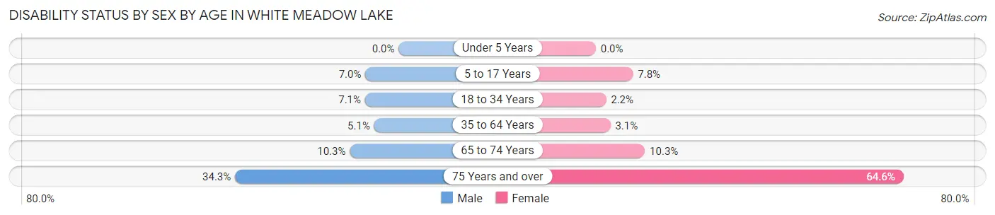 Disability Status by Sex by Age in White Meadow Lake
